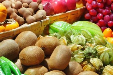 Vegan meals to be served in Roman schools